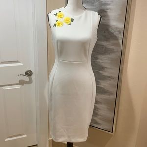 Calvin Klein Dress